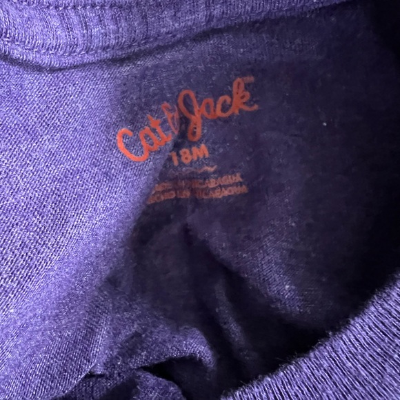11 Cat & Jack & Carter’s Size 18 Months T-Shirts - Picture 14 of 14